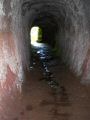 Madeira0805.JPG
